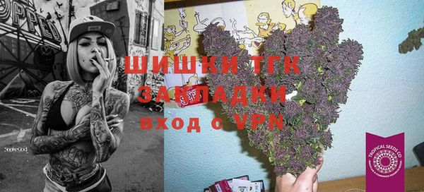 гидра Алексеевка
