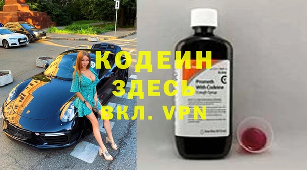 гашик Алзамай