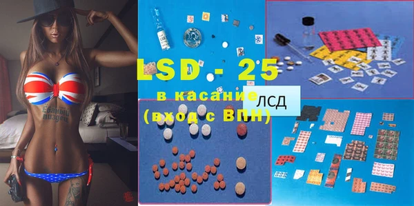 гашик Алзамай