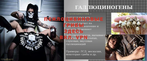 гидра Алексеевка