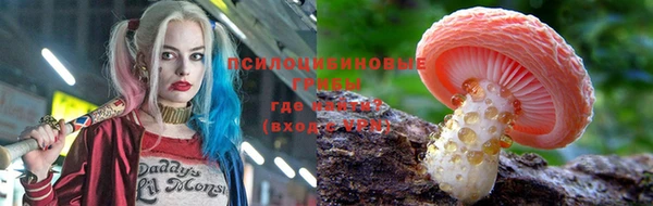 гашик Алзамай